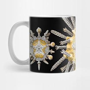 Macro Sea Creatures Sea Urchins Mug